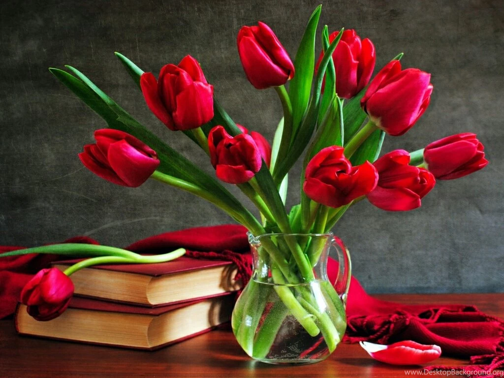 Rose Images Hd Collection (38+)