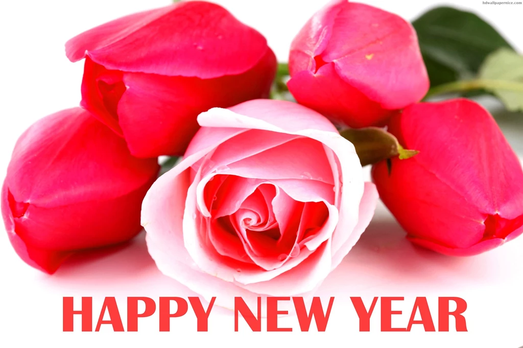 Rose Flowers On Happy New Year 2016 HD Wallpapers