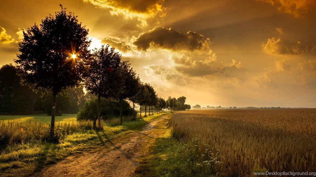 Beauty Wallpapers