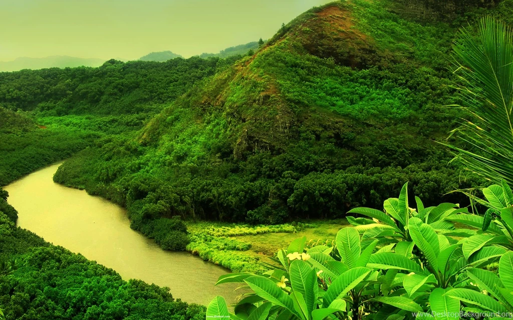 Beautiful Wallpapers Hd Nature Desktop.Wallpaperchanel.com
