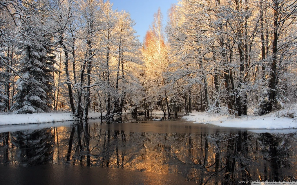 Download Forest Lake, Winter Wallpapers Wallpapers Widest