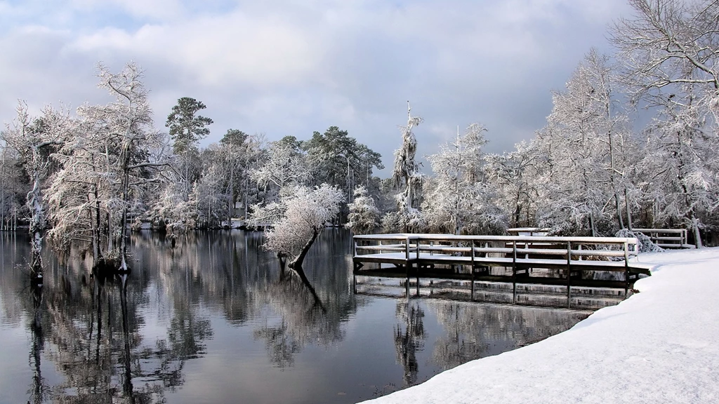 Download Wallpapers 3840x2160 Winter, Lake, Park, Trees, Hoarfrost ...