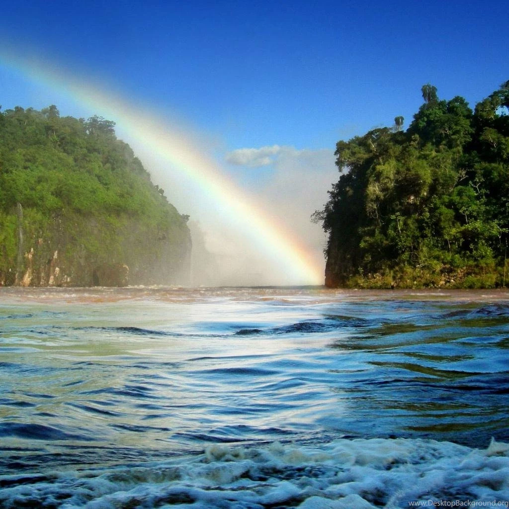 Tropical Island Hds