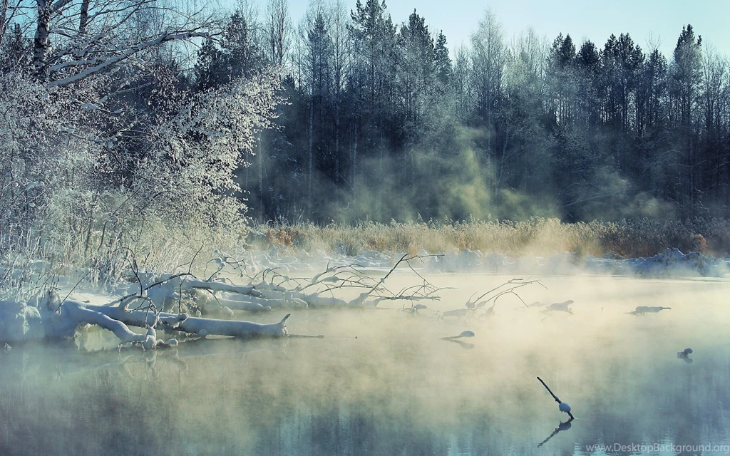 Winter Fog, Lake 81216 HD Wallpapers