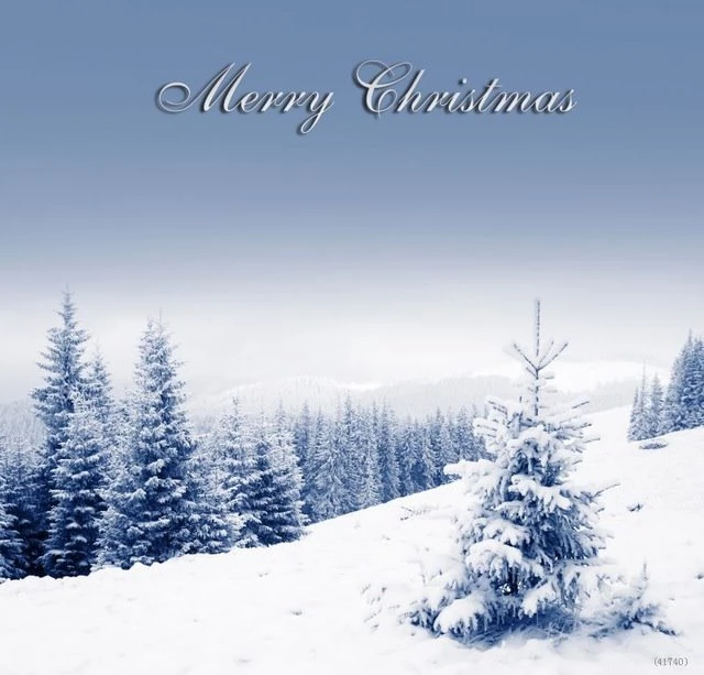 Aliexpress.com : Buy 10x10ft Nice Christmas Vinyl Photography ...