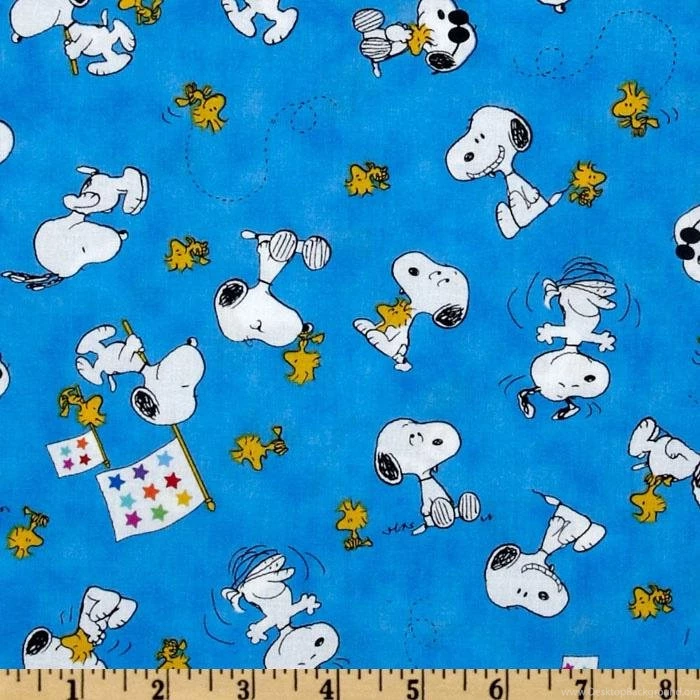 Peanuts Project Linus Snoopy & Woodstock Toss Blue Discount ...