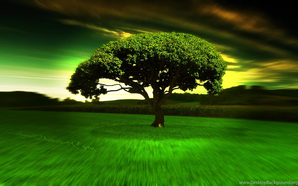 HD Wallpapers Source Page 476 Of 489 100% Quality HD Desktop ...
