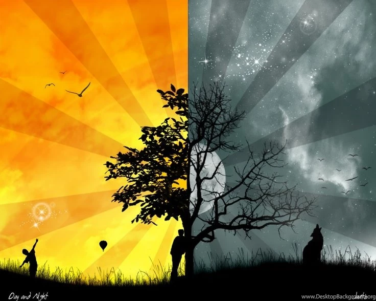 Tree Of Life On Pinterest