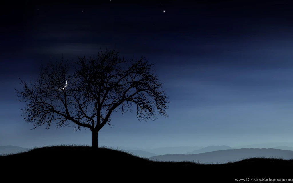 Cool, Wallpapers, Vladstudio, Backgrounds, Michel (