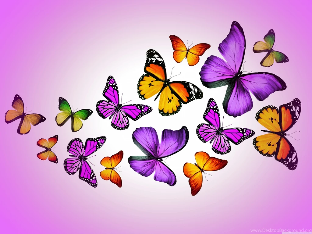Butterflies Wallpapers Full HD [4096x3072]   Free Wallpapers Full Hd ...