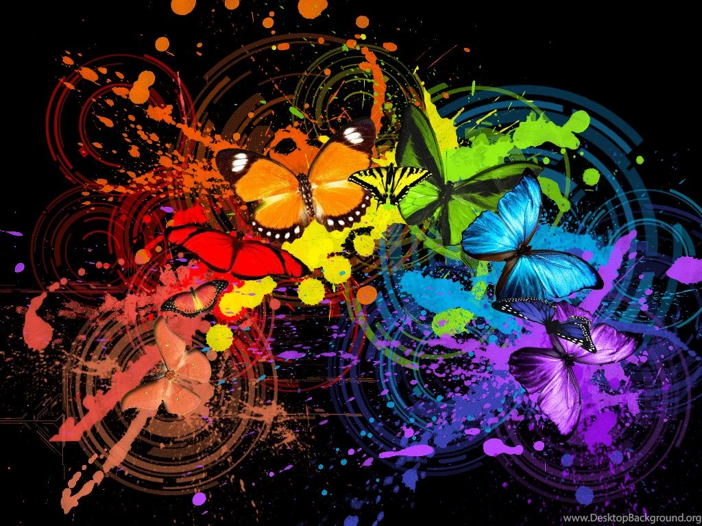 Butterflies Widescreen Hd Wallpaper Images