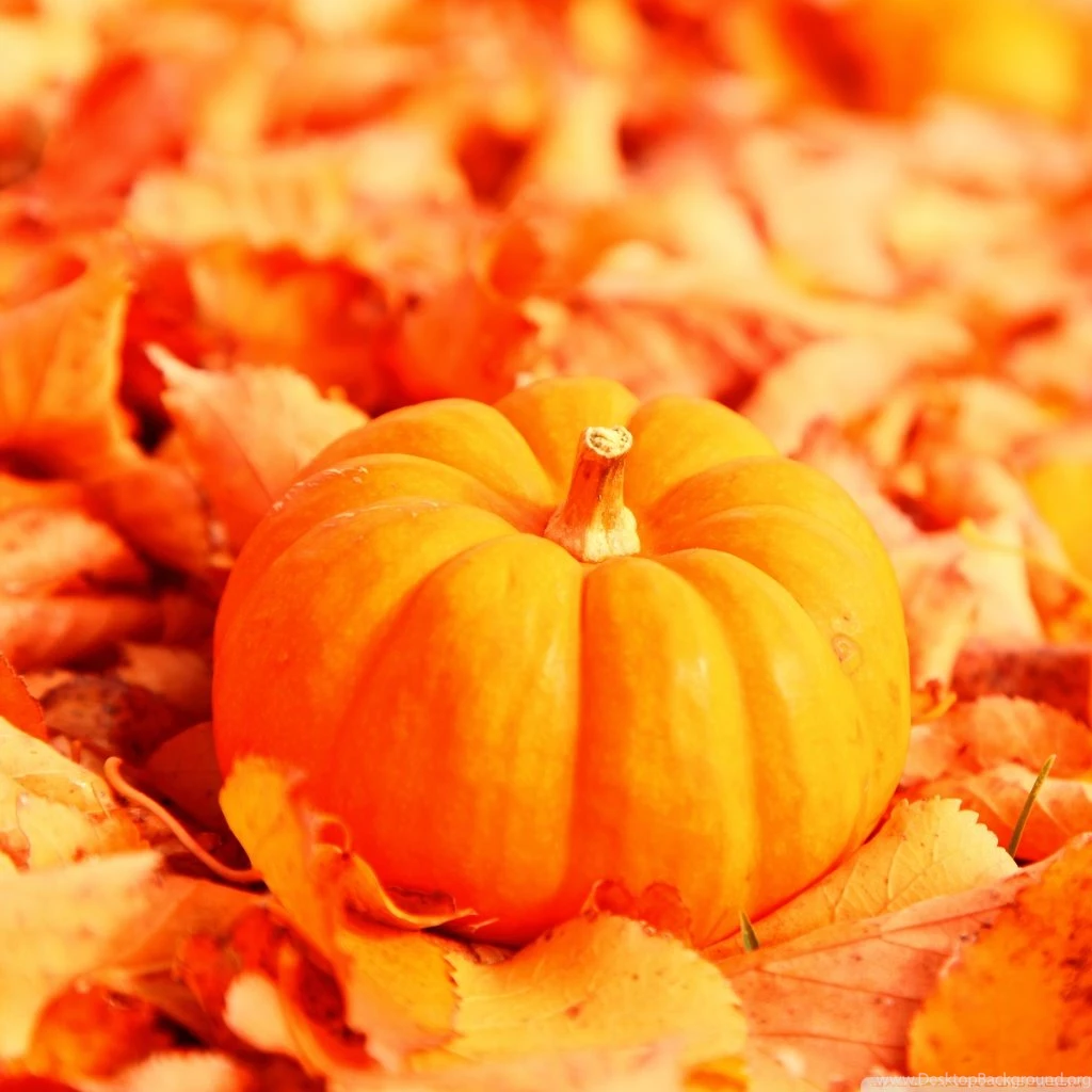 Fall Wallpapers For Android Wallpapers Zone
