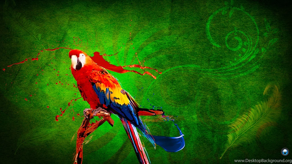 Parrot Hd Wallpapers