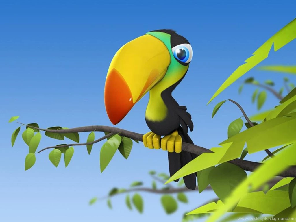 1024x768 Colorful Parrot Desktop PC And Mac Wallpapers