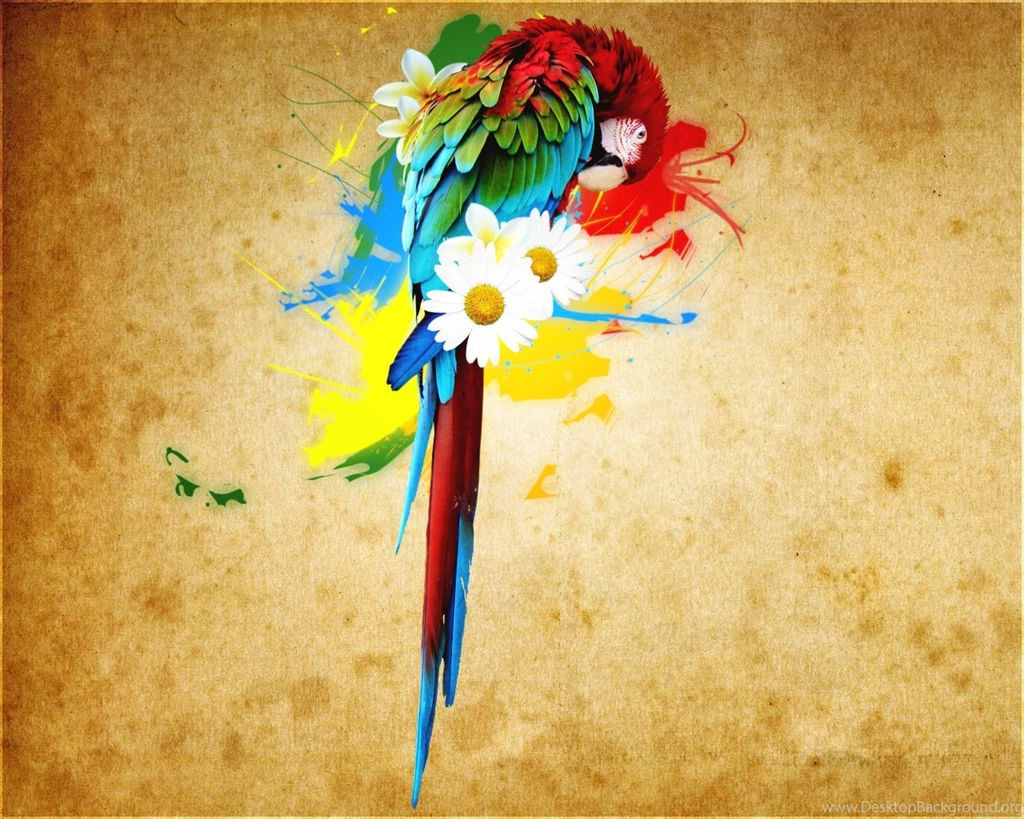 Tropical Parrot Wallpapers By Klg501 On DeviantArt