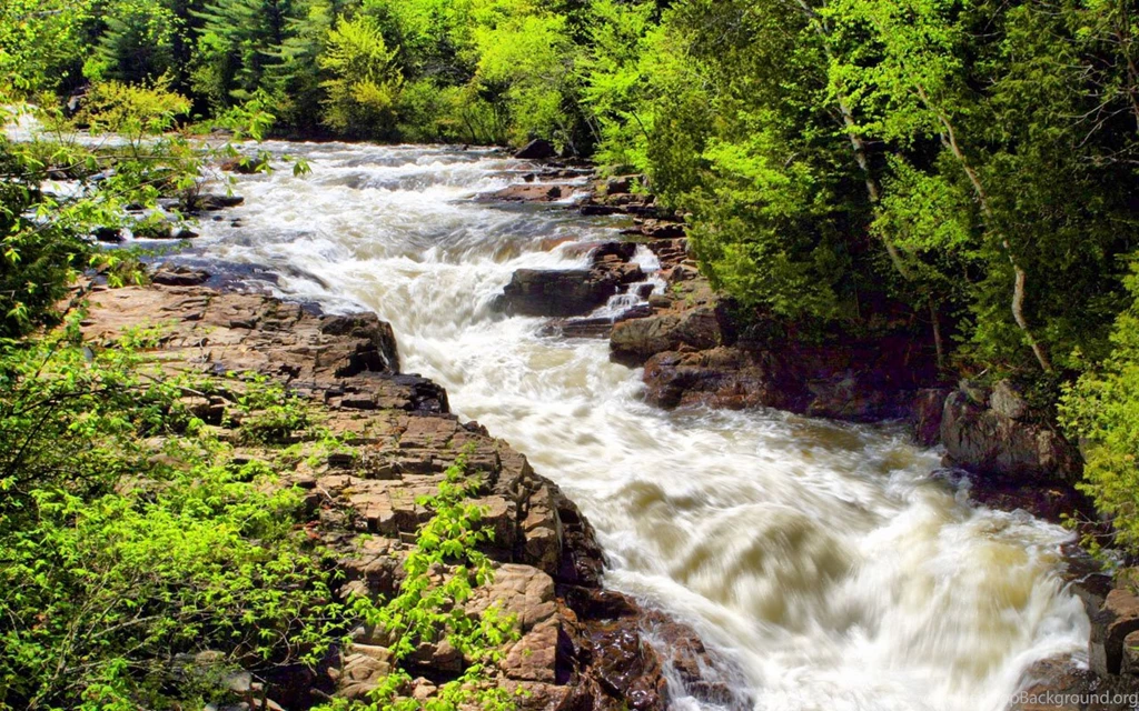Torrent In Forest Wallpapers HD Wallpapers 24918