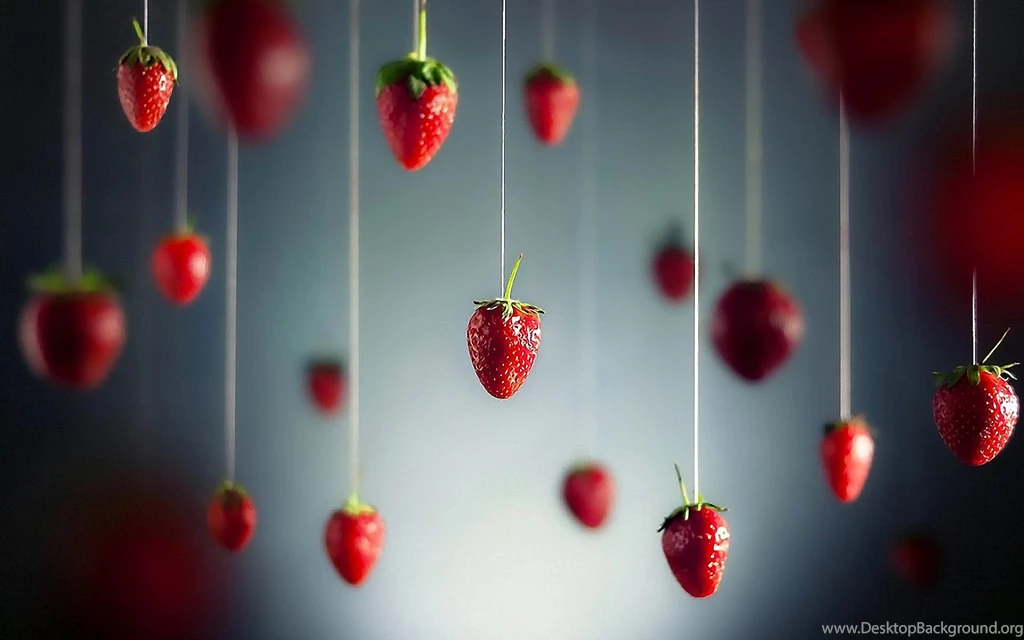The Best Wallpapers