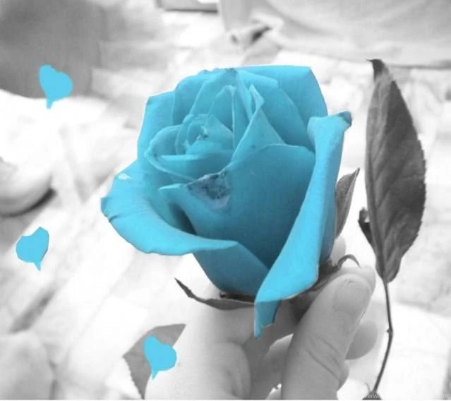 Zedge Download Free Ringtones And Wallpapers And More. This Is ...