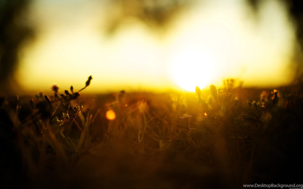 Download Day Life Wallpapers 2560x1600