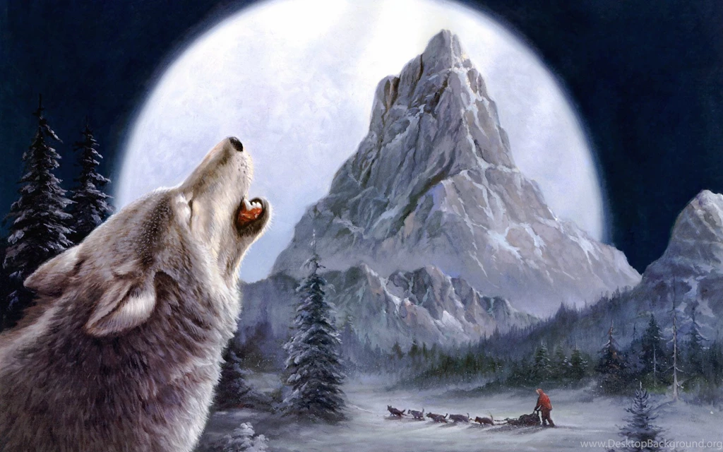 Winter Wolves Wallpapers (12)