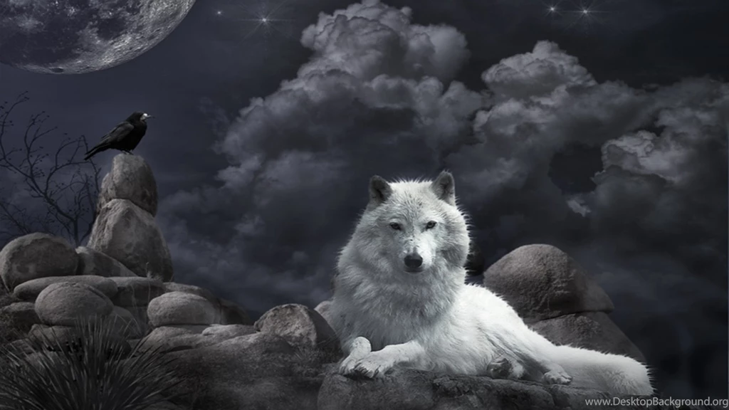 Wolf HD Wallpapers