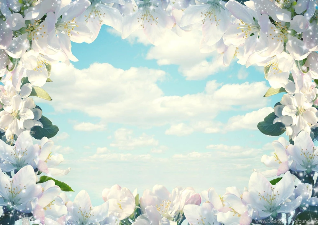 Frame Of Flowers! >> HD Wallpaper, Get It Now!