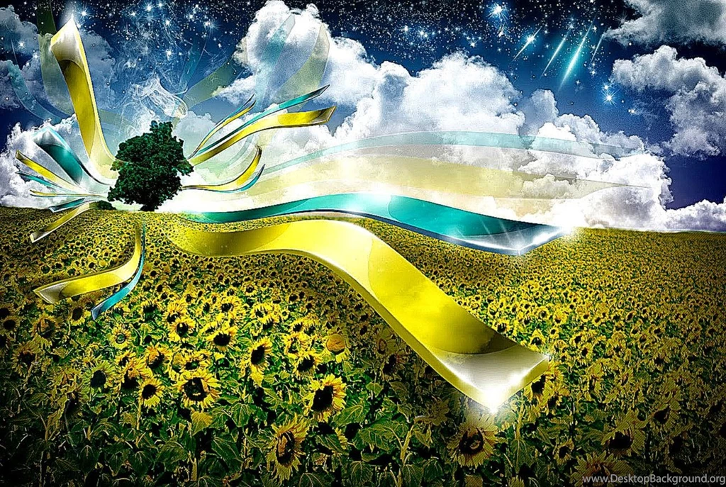 3D Wallpaper Backgrounds