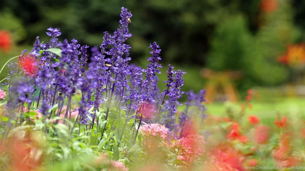 PC Wallpapers Bollywood Actress Nature Flower Wallpaper, HQ ...