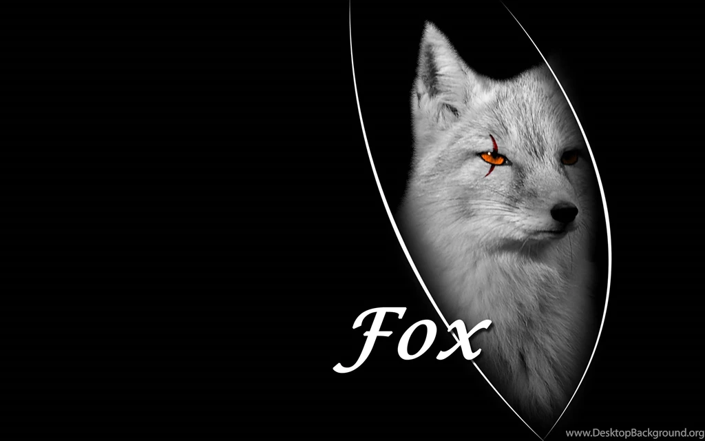 Fox On A Beautiful Black Backgrounds