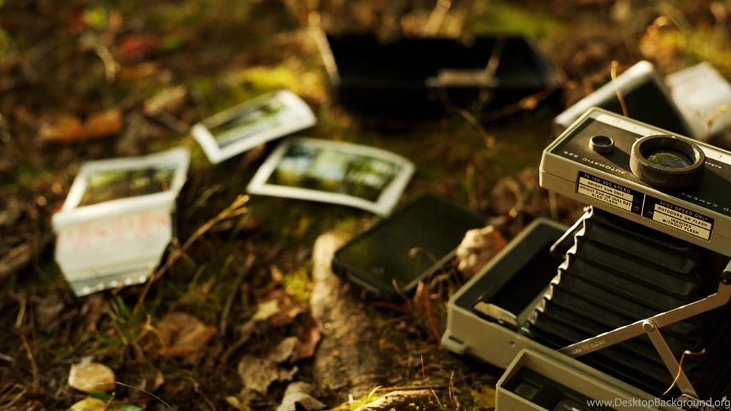 Old Polaroid Camera And A Phone