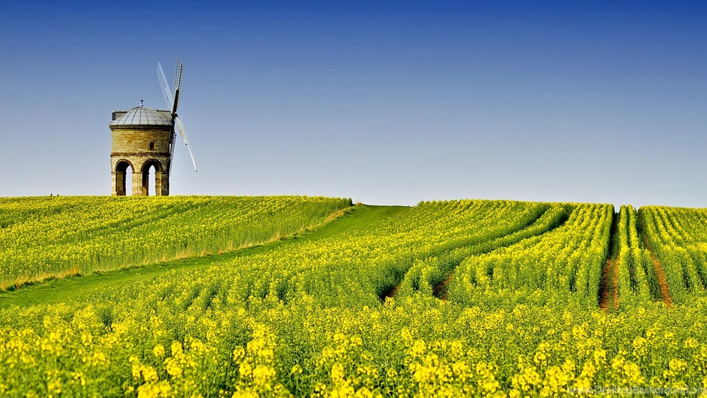 Best Wallpapers Download