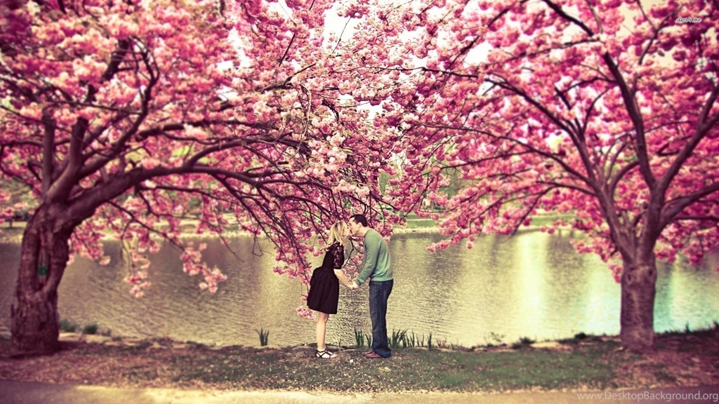 Tree Couple Peoples Water Kiss Love Wallpapers