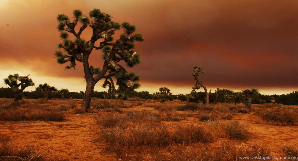 Mojave Desert Over The Boundries Of California Nevada Arizona Utah ...
