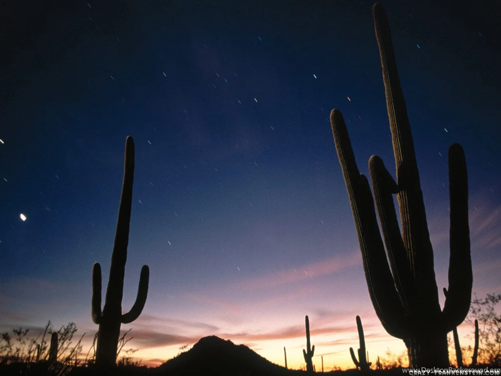 Deserts Nature Wallpapers Page 2 Crazy Frankenstein