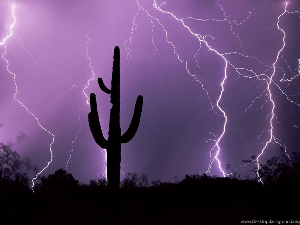 Nature: Desert Storm, Tucson, Arizona, Picture Nr. 47116