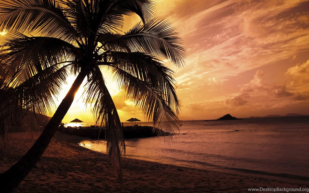 Beach Sunset Wallpapers