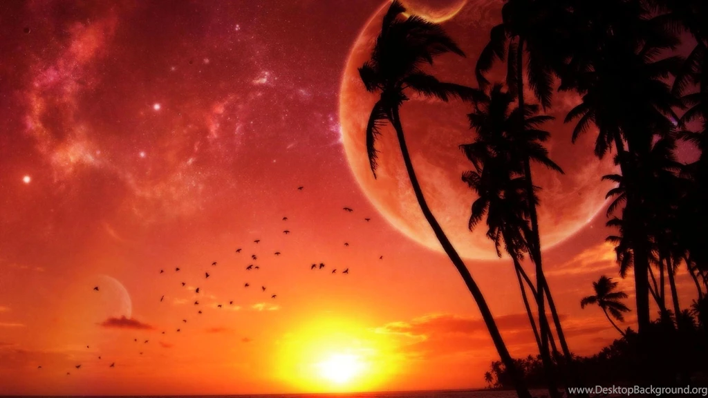 Tropical Beach Sunset Wallpapers Free
