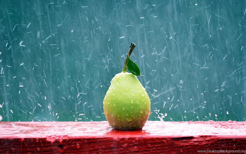 Rain HD Wallpapers