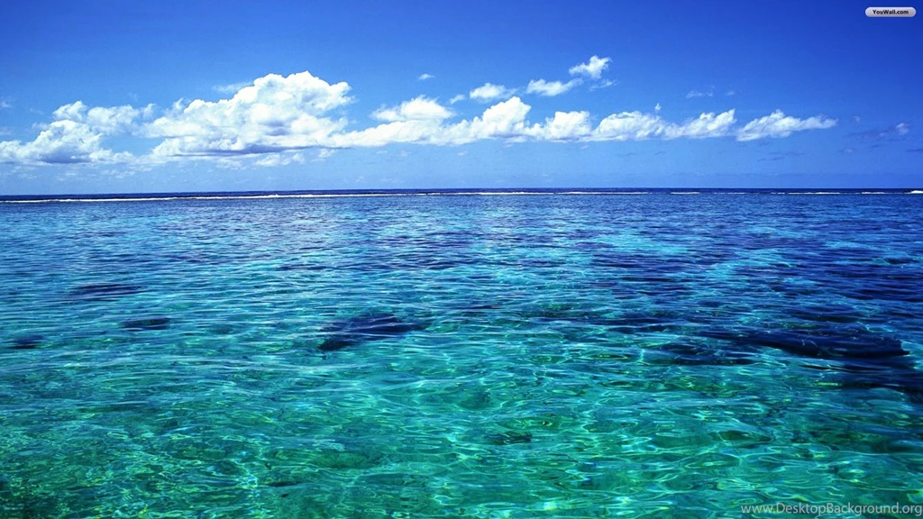 Ocean