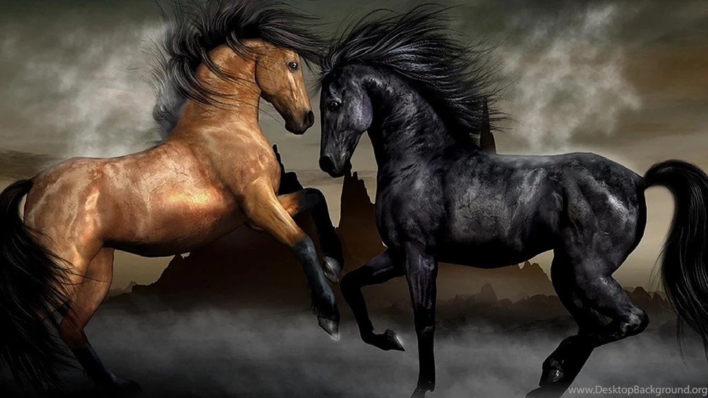 Horse Live Wallpapers Android Apps On Google Play