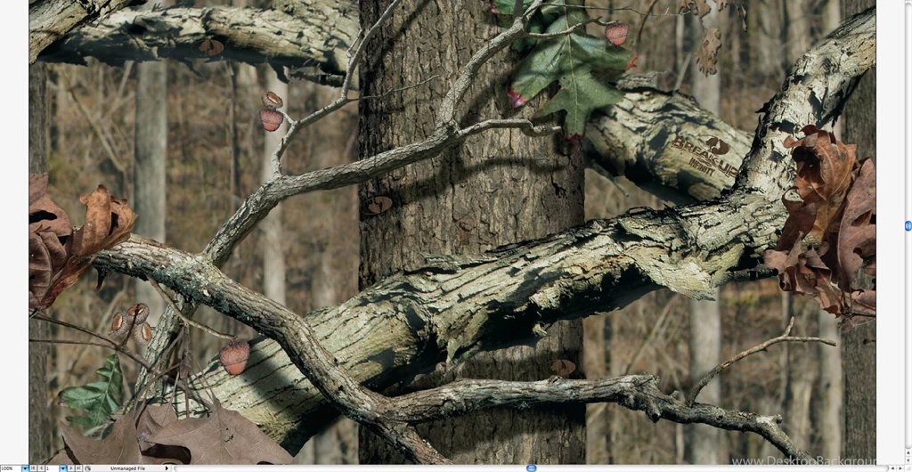 Mossy Oak Camouflage Wallpapers Wallpapers Zone