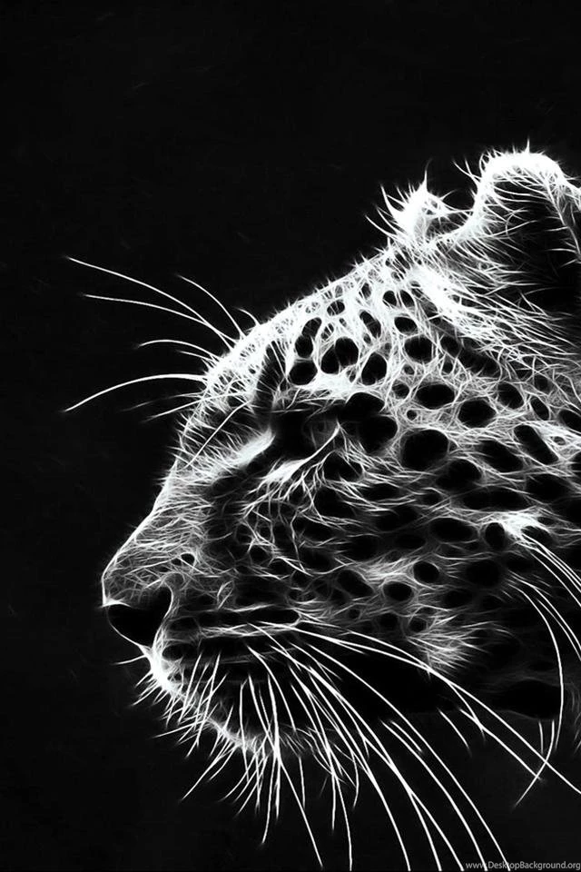 Iphone Tiger Wallpapers Animal Backgrounds 162