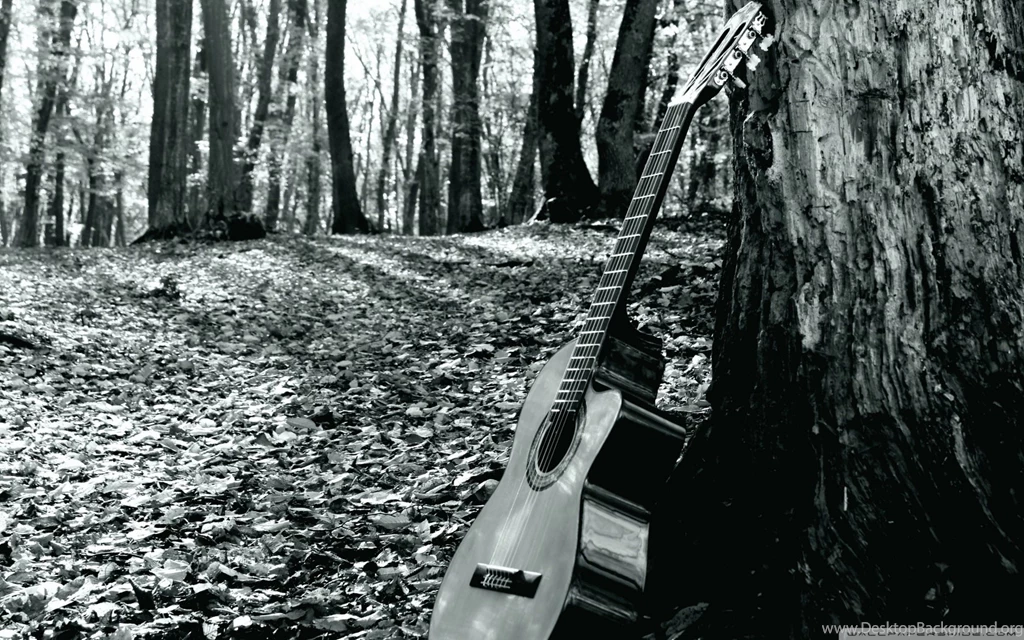 Forrest Guitar HD Desktop Wallpapers : Widescreen : High Definition ...