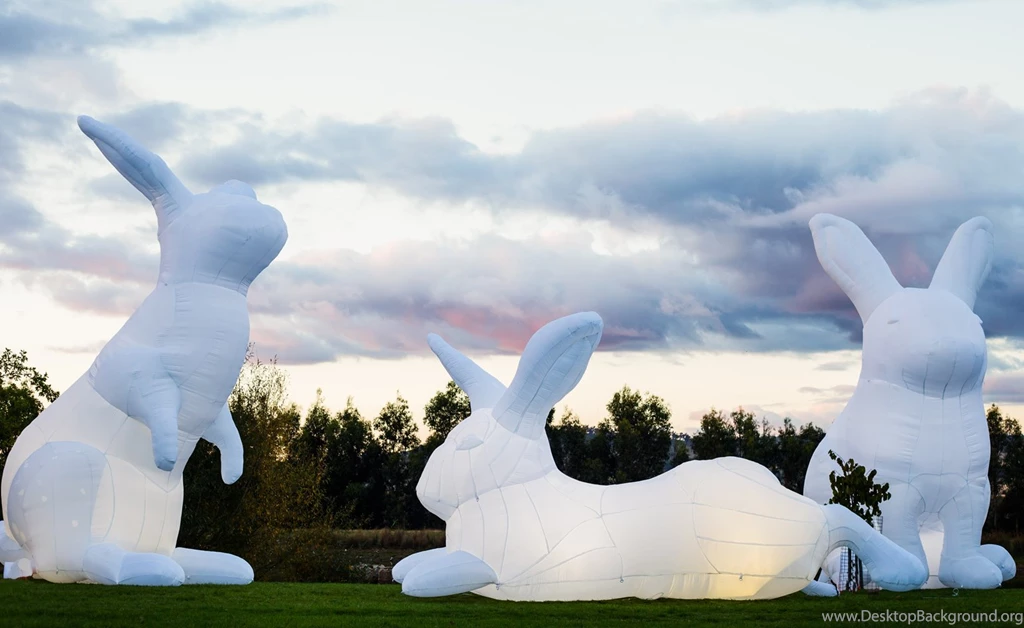 Amanda Parer's White Rabbit Installation In NYC
