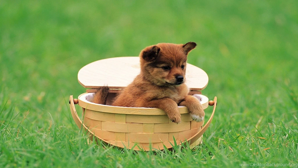 55+ Most Trendy Pretty Wallpapers HD   Over The Top Mag