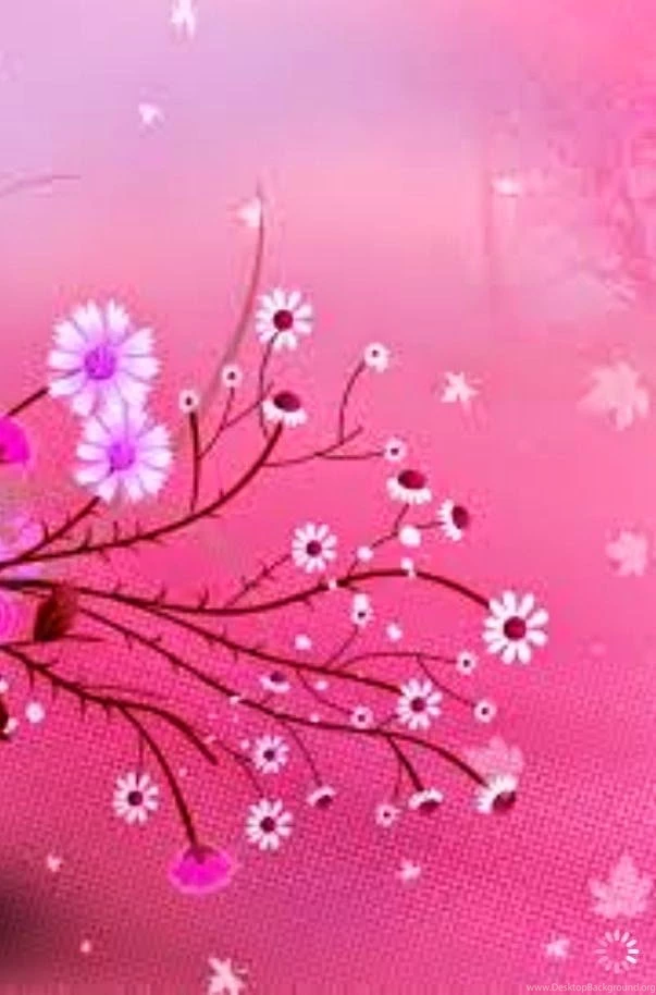 Pretty Wallpapers 5a5 HD Wallpapers
