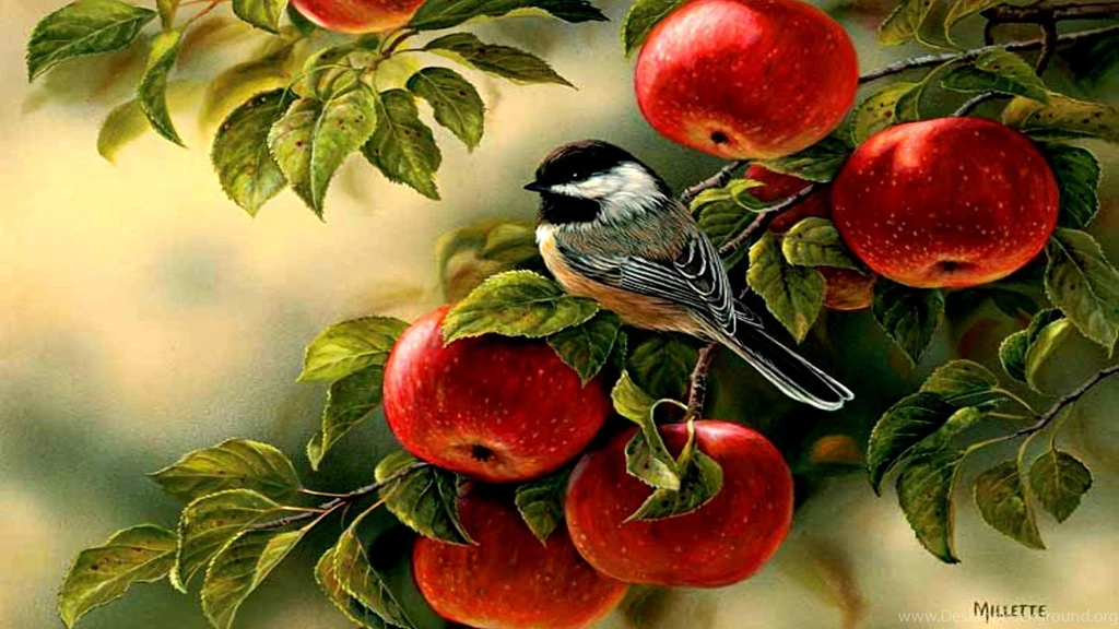 Apple Tree Wallpapers