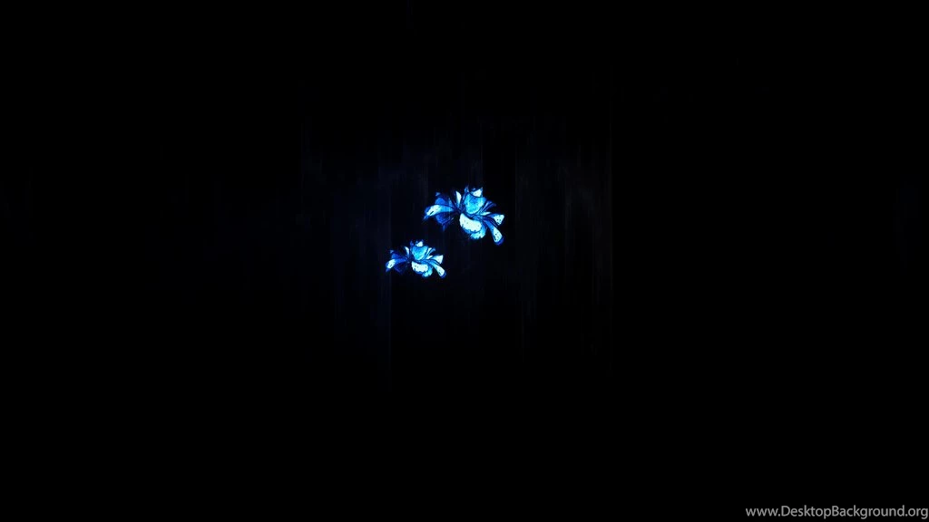 Dark Blue Flower Wallpapers By Fjonte By FJontee On DeviantArt