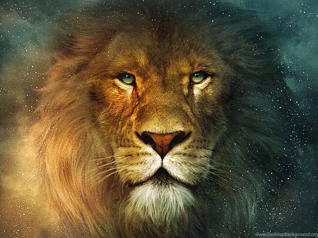 Lion Wallpapers Hd