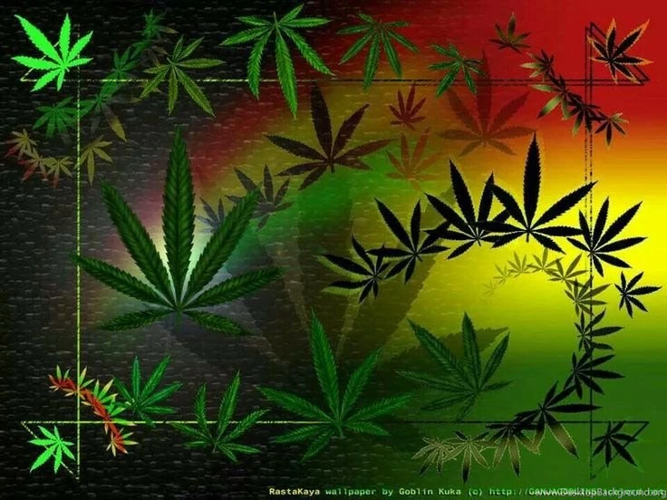 Rasta Forest